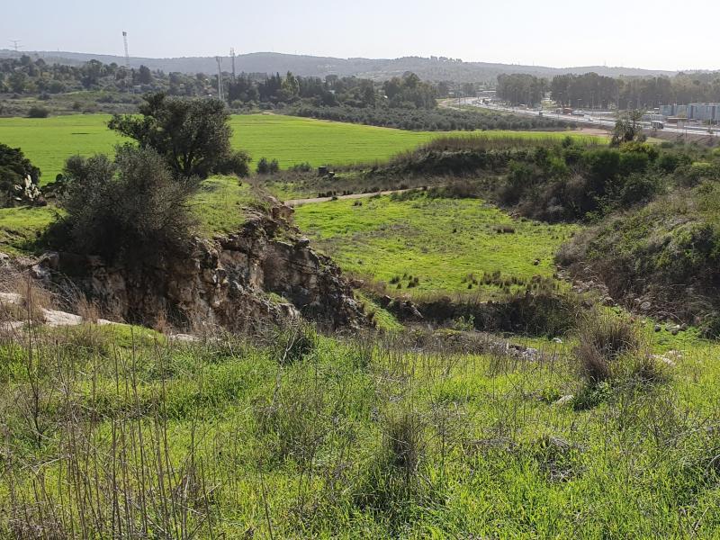 מתקדמים בשיקום מחצבת שהם בתחום יער קק